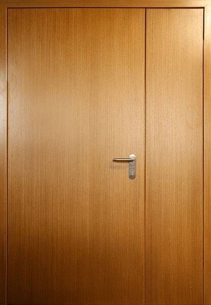 Полуторная глухая противопожарная дверь EI 60 (отделка МДФ-панелью) (14)