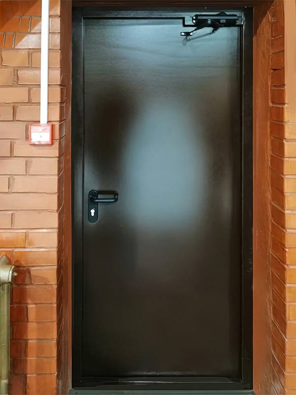 Огнестойкая дверь с внутренней стороны (ул. Николая Старостина)