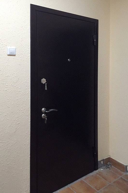 Однопольная техническая дверь